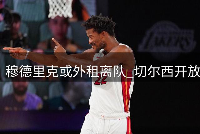 穆德里克或外租离队 切尔西开放意甲法甲选项